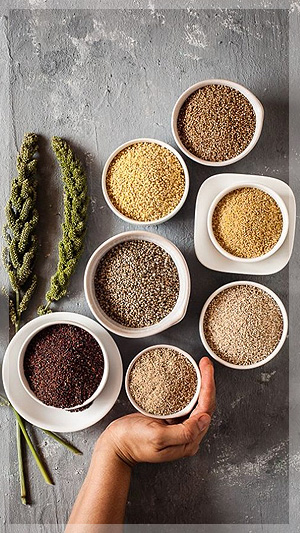 Premium Super Foods Exporter