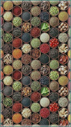 Premium Spices Exporter